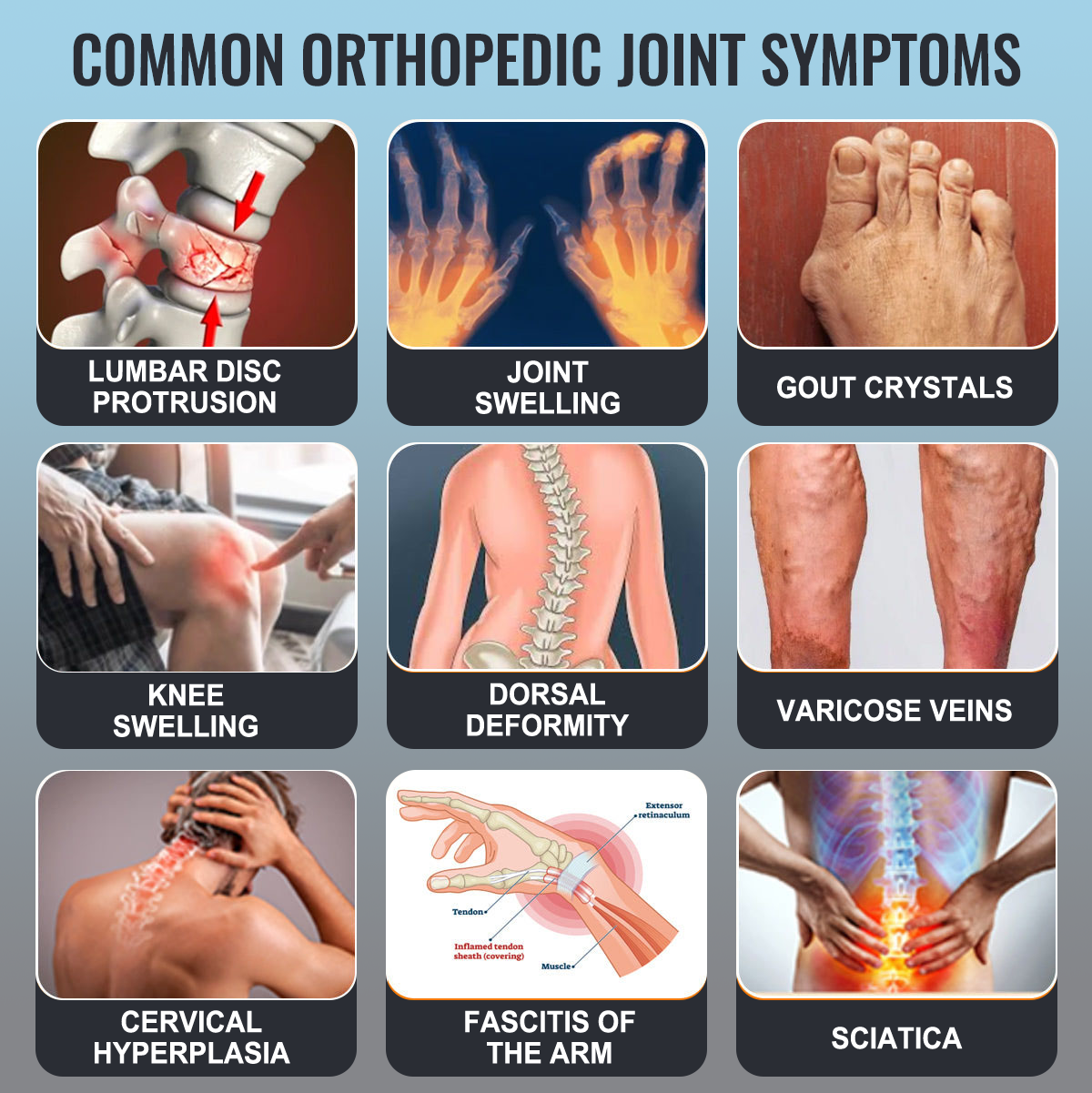 Official Store: Vioralifes™ Bee Venom and Turmeric Joint and Bone Pain Relief Cream 👨⚕️ Approved by the American Academy of Orthopaedic Surgeons (AAOS)